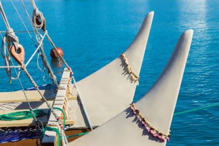 Bow of the Hokulea 1