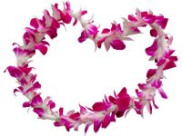 orchid lei