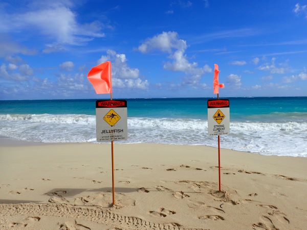 jellyfish and strong current beach warning signs