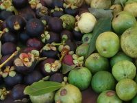 mangosteen and pink guava at the farmers market
