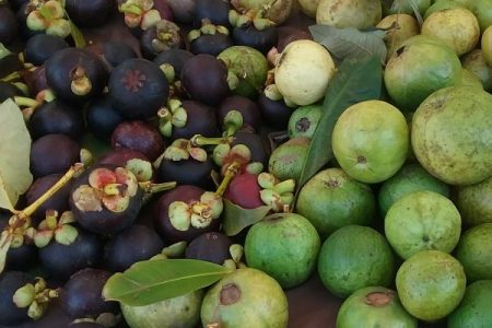 mangosteen and pink guava at the farmers market