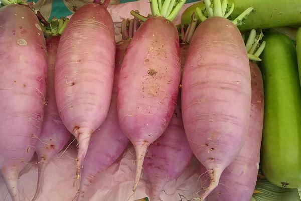 large pink radishes on the farmers market table