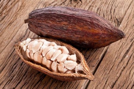 ripe cacao pod and raw cocoa beans