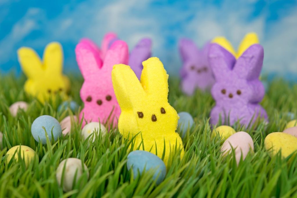 easter bunny peeps and eggs in the grass