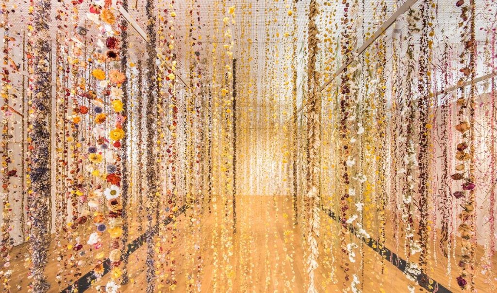 HoMA Awakening flower exhibit
