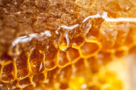 honeycomb