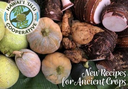Hawaii Ulu coop digital cookbook promo image