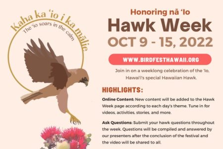 Hawk week 2022 banner