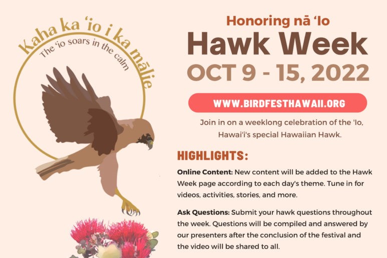 Virtual Hawk Week 2022 Hawaiʻi Island Festival of Birds Hawaiʻi on