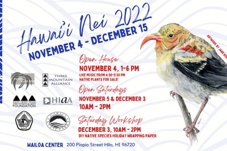 Banner for Hawaii Nei 2022 art exhibition - opening night - in Hilo