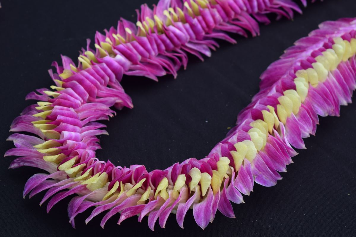 On May Day, Give a Lei with Meaning