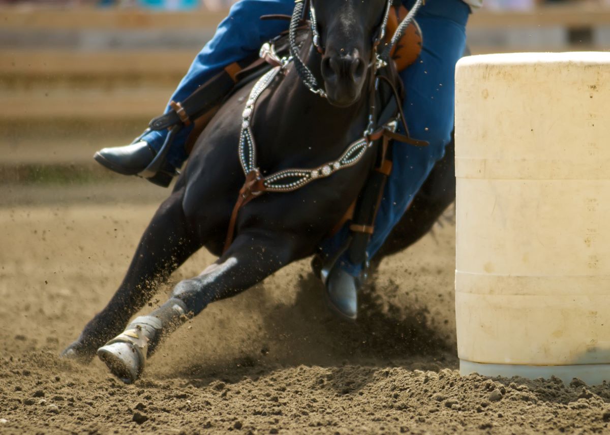 Kauaʻi Waimea Town Celebration 8day festival, rodeo and ho'olaule'a