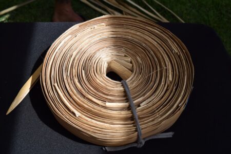Lauhala (pandanus leaves) prepared for weaving