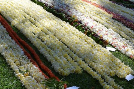 lei strands laid out for draping King Kamehameha statue