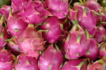 pile of fresh dragon fruit