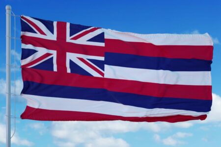 Hawaii State flag
