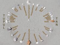 A photograph of a recreation of Mau Piailug's (1932-2010) star compass--shells on sand with Satawalese labels--as described by the Polynesian Voyaging Society.