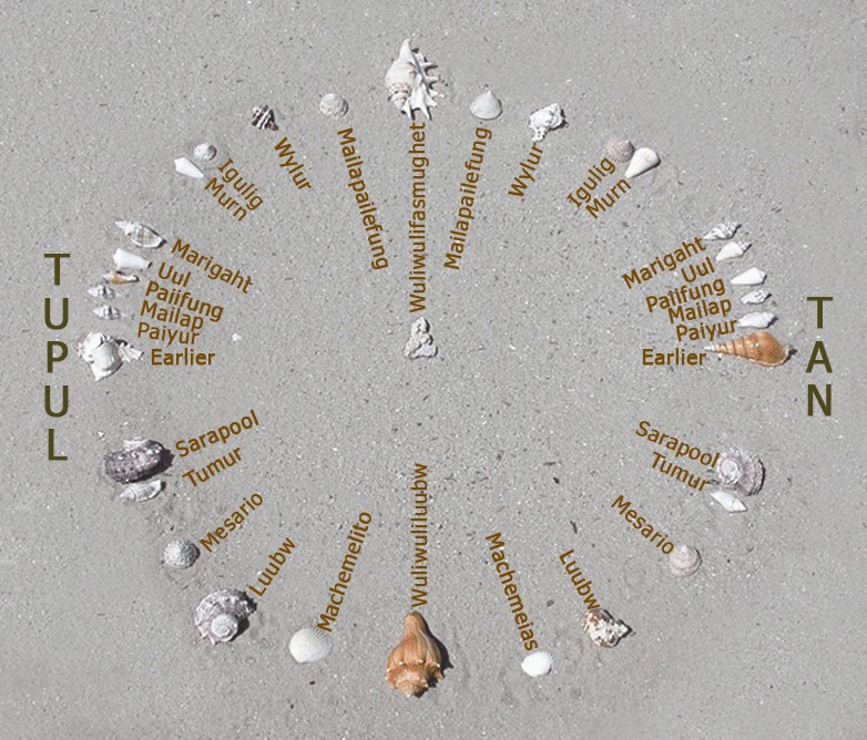 A photograph of a recreation of Mau Piailug's (1932-2010) star compass--shells on sand with Satawalese labels--as described by the Polynesian Voyaging Society. 