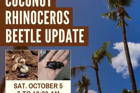 poster for CRB update hilo oct 5, 2024